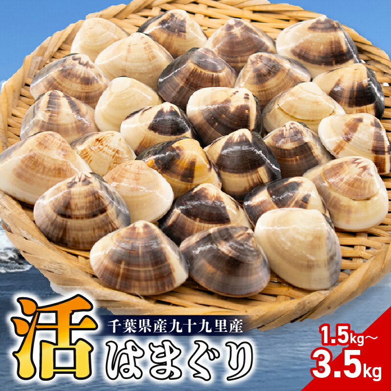 【ふるさと納税】九十九里産 活 はまぐり 選べる 100-140gサイズ/ 40-60gサイズ 約1.5kg/ 約2.5kg/約3.5kg ハマグリ 蛤 砂抜き 魚介 魚貝 魚介類 海鮮 貝 酒蒸し 九十九里浜 ひなまつり 節句 贈答 株式会社丸六 旭市 千葉県