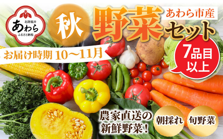 【先行予約】農家直送 秋野菜セット 1箱 7品目以上 《元気に育った新鮮野菜！》／ 福井 あわら市 季節 秋 野菜 ボックス BOX セット セレクト 農家 おまかせ 多品目 旬 詰め合わせ ※2024年10月下旬以降発送