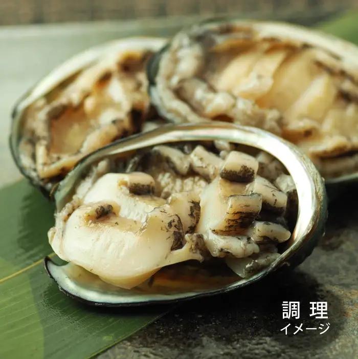 北海道福島町 陸上養殖「蝦夷 アワビ 」5個入×2箱 FKP002 | アワビ