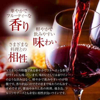 ふるさと納税 矢掛町 酒 日本ワイン 720ml 1本 矢掛放送 岡山県矢掛町《30日以内に出荷予定(土日祝除く)》 |  | 03