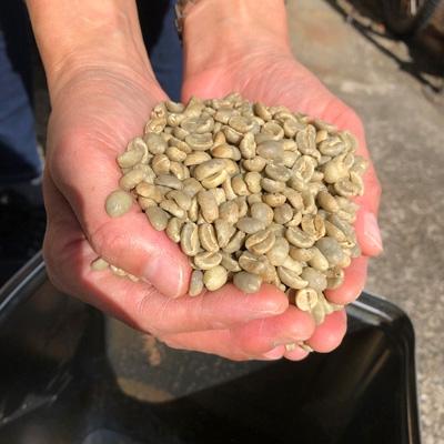 ふるさと納税 魚津市 【豆】グアテマラ　サンタバーバラ:1kg(自家焙煎コーヒーとみかわ) |  | 01