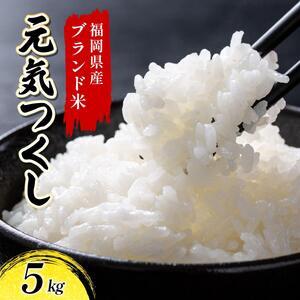 【定期便：６ケ月】令和７年産 福岡県産米 元気つくし 5kg 精米 CY011sub6