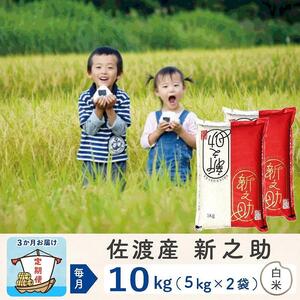 【3か月定期便】佐渡島産新之助 白米10Kg 令和6年産