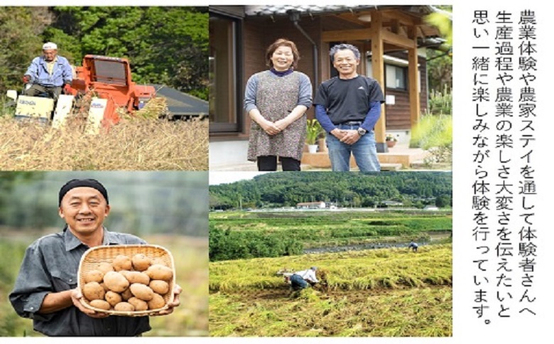 農漁村体験の聖地「松浦党の里」旬の野菜セット【B2-162】 野菜 旬 旬の野菜 野菜詰め合わせ 地元野菜 地元食材 松浦産