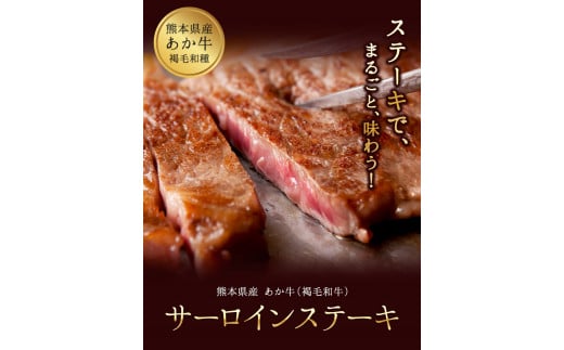 あか牛（褐毛和牛） サーロイン ステーキ 500g 《2026年1月中旬-3月末頃出荷》 牛肉 冷凍---hkw_faksir_bc13_r7_19000_500g---