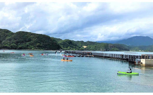 
森浦湾カヤック体験（小人） 3歳～小学生　太地フィールドカヤック2時間体験コース / アクティビティ レジャー 体験チケット 観光
