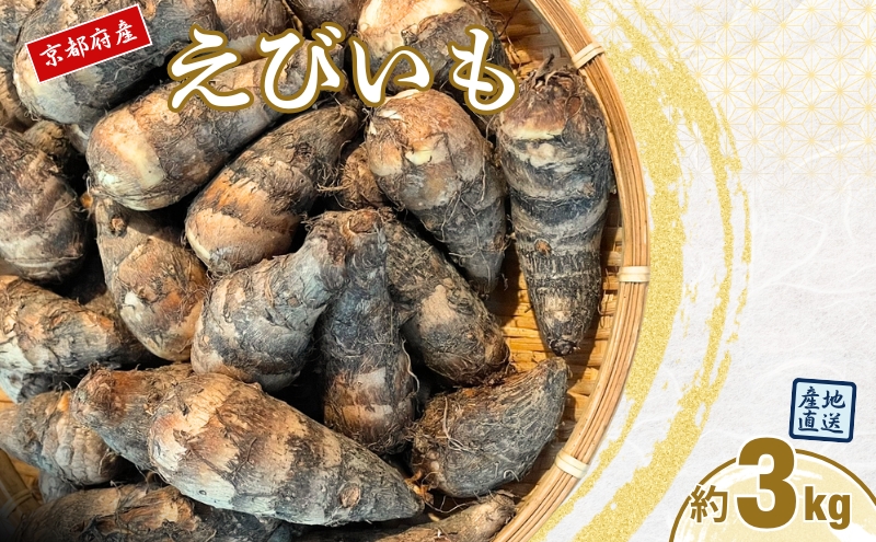 えびいも 3kg 京野菜 高級里芋 おせち 煮物 京都伝統野菜 秋