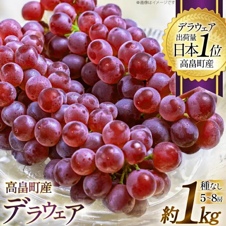 【期間限定発送】 ぶどう デラウェア 5～8房 約 1kg
