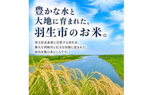 【最短1週間以内発送！】 あさひの夢 10kg 【精米】 令和7年産 5kg × 2袋 白米 米 お米 ライス 10キロ 米10kg ごはん こめ コメ はくまい kome okome ※ ブランド米