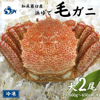 ふるさと納税 羅臼町 知床羅臼産 浜ゆで毛がに 大サイズ 2尾(1尾 600g〜650g前後)