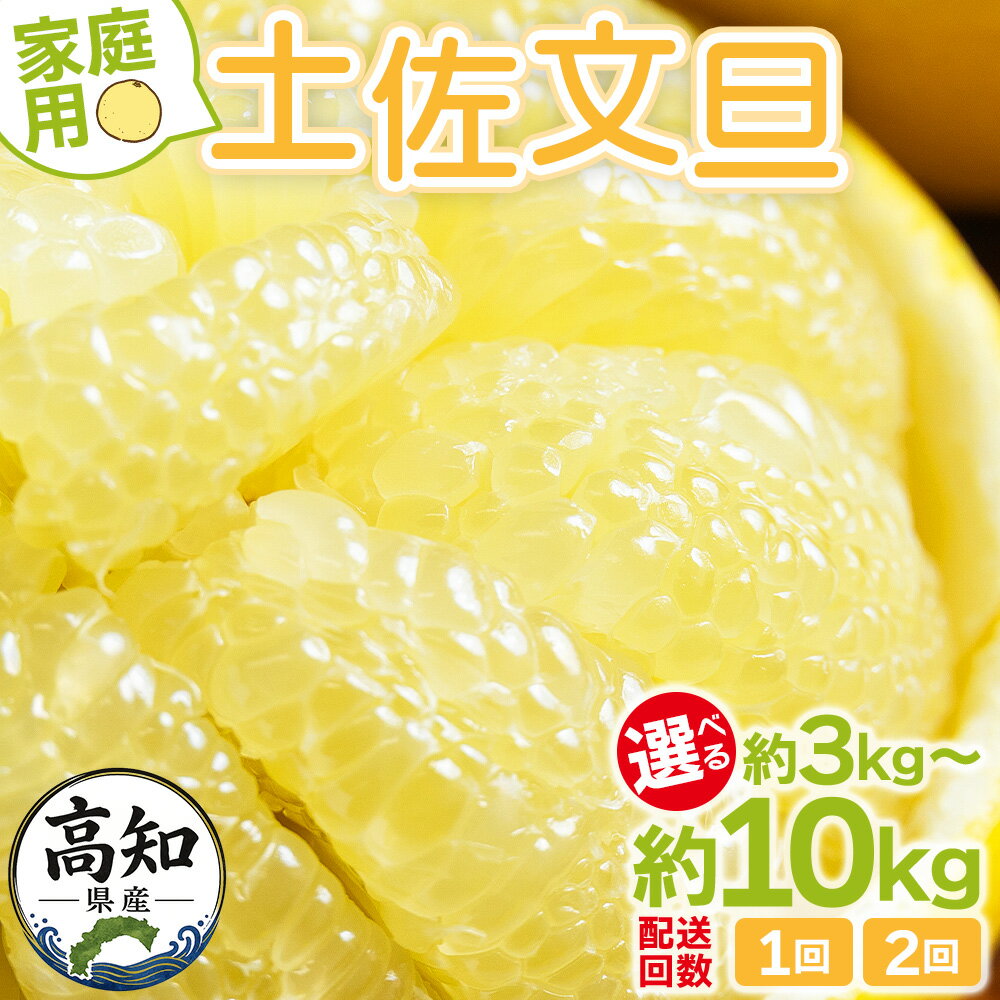 【ふるさと納税】【選べる】【先行予約】土佐文旦 家庭用 大小混合(L～3L) 内容量:約3/10kg 定期便1/2回 - 選べる 数量 定期回数 果物 フルーツ 柑橘 ぶんたん ブンタン おいしい 送料無料 特産品 期間限定 山北みらい 高知県 香南市【常温】