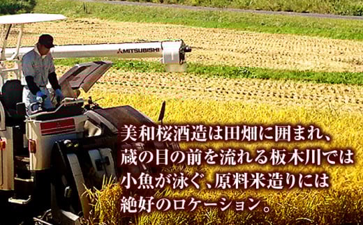 【5月上旬～9月下旬に順次発送】美和桜酒造の冷やして美味しいお酒セット《夏限定》 三次市/美和桜酒造 [APBF005]