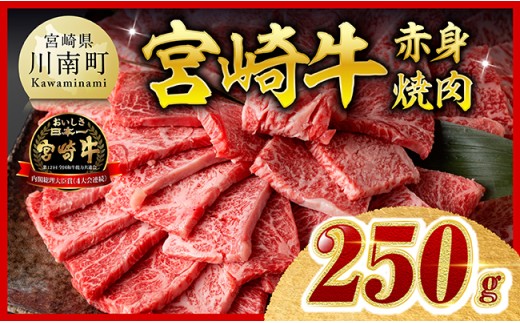 ※令和8年11月発送※宮崎牛 赤身（ウデorモモ）焼肉250g 【 牛肉 スライス 牛 肉 A4ランク 4等級 A5ランク 5等級 焼肉 】