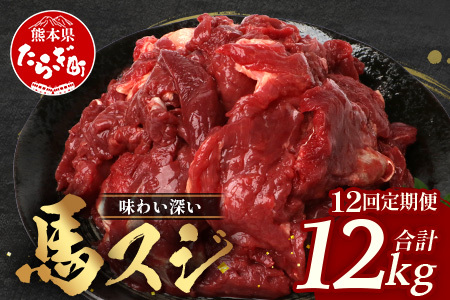 【 定期便 12回 】 熊本県 馬スジ 1㎏（ 500g×2 ） × 12回 【 合計 12kg 】 馬肉 すじ肉 大容量 本場 熊本県 馬 赤身 煮込み カレー シチュー 冷凍 真空 熊本 肥育 ヘルシー 赤身 肉 高栄養 肉 馬スジ 041-0169