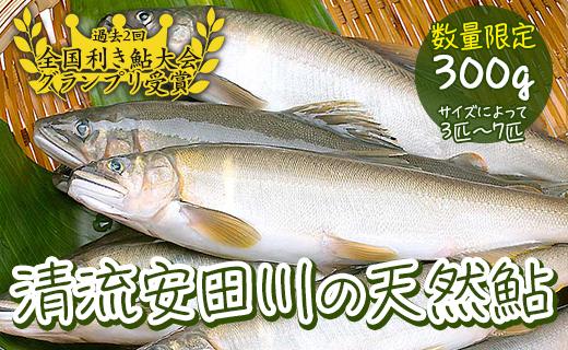 【清流安田川の天然鮎（冷凍）】 鮎 あゆ アユ 冷凍鮎 川魚 魚介 お取り寄せグルメ 塩焼き 鮎の甘露煮 鮎めし お中元 お歳暮  【481】