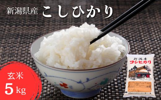 【令和6年産新米】 こしひかり 玄米 5kg げんまい 米 こめ コメ 新潟県 産 おすすめ オススメ