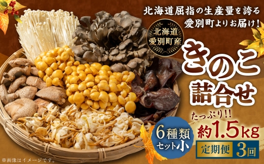 【 ３ヶ月定期便 】 きのこ詰合せ ( まいたけ、 椎茸、 えのき茸、 なめこ、 えぞゆきのした、 きくらげ ) ６種類セット 【 小 】 約1.5kg きのこ キノコ 茸 新鮮 詰め合わせ セット 食べ比べ 国産 北海道産 茸料理 定期 定期配送