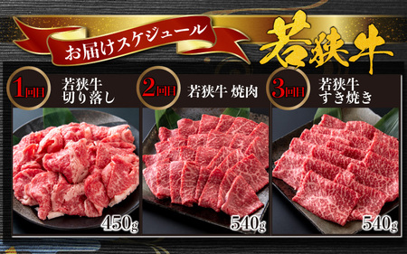 【肉の定期便×3回コース】肉好き大集合！若狭牛 食べ比べ 定期便！【福井のブランド牛肉】【4等級以上】
