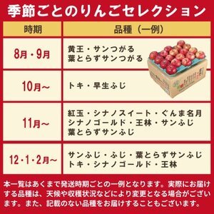 【発送月固定定期便】【25年12月～26年2月】青森りんご 訳あり 品種おまかせ 3kg全3回【配送不可地域：離島・沖縄県】【4066848】