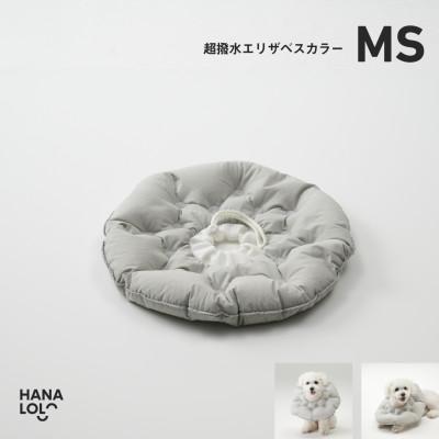 ふるさと納税 岡崎市 【ハナロロ】エリザベスカラー MS(アッシュグレー)