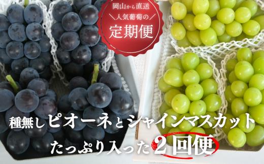 KF-T005-01【きよとうファーム】ピオーネとシャインマスカット、たっぷり2kgの2回便！(定期便) (岡山県産)