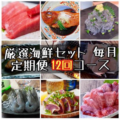ふるさと納税 小田原市 【毎月定期便】特選!海鮮セット!日本酒、焼酎のアテにピッタリ!【神奈川県小田原市早川】全12回
