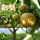 【ふるさと納税】【令和7年産 先行予約】山形県産　和梨 品種おまかせ（幸水又は豊水）約5kg(12〜16玉)　K-735