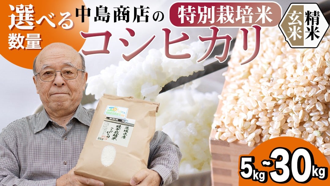 
            ＼ 選べる内容量 ／ 令和7年産 茨城県産 コシヒカリ 特別栽培米 （精米 5kg・10kg・27kg / 玄米 5kg・10kg・30kg） 白米 こしひかり 米 コメ こめ 単一米 限定 茨城県産 国産 美味しい お米 おこめ おコメ
          