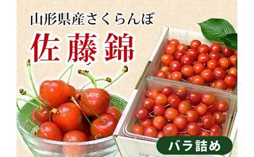 
《先行予約 2025年度発送》さくらんぼ【佐藤錦】Lバラ詰め1kg FSY-0153
