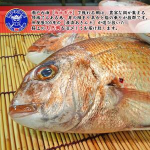 【ギフト用】[下処理なし]≪瀬戸内海産≫朝1番水揚げされた天然真鯛を直送致します。［特大サイズ］