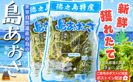 【2026年とれたて！】煌きの海からの恵み！島あおさ（2袋）【ポストイン配送】( アオサ あおさ のり 海苔 乾物 徳之島 奄美 鹿児島 お味噌汁 料理 てんぷら 卵焼き 美味しい 新鮮 )