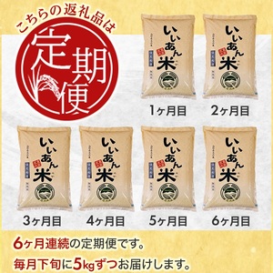 SM0058　【6回定期便】無洗米はえぬき　5kg×6回(計30kg)　農家直送『いいあん米』AG