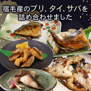 魚 5種 8個入 詰め合わせ セット