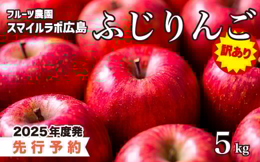 【先行受付】訳あり ふじりんご5kg りんご リンゴ 林檎 新鮮 傷あり 訳あり 産地直送 広島県三原市 【2025年10月頃より順次発送】059011