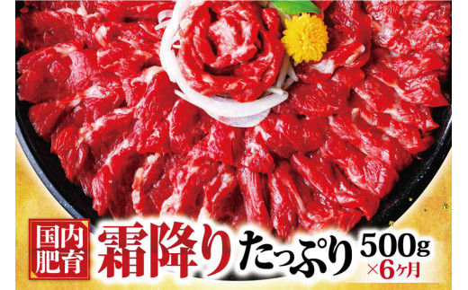 
【6ヶ月定期便】熊本馬刺し 霜降り たっぷり約500g(約50g×10パック)専用醤油付き
