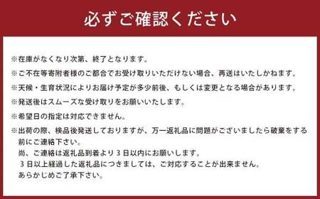 【先行予約】牟田農園の夢しずく5kg （5kg×1袋） 【令和8年産】＜精米＞ 米 お米 白米 ご飯 精米 国産 夢しずく 牟田農園 佐賀県太良町産 佐賀県 太良町 O185x1