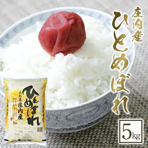 SA2958　令和7年産【精米】ひとめぼれ　5kg×1袋 《農産物検査員おすすめの庄内米》 SY