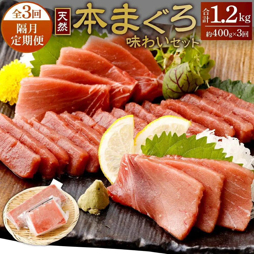 【定期便/計3回】天然本マグロ 400g（天身・中トロ） 【まぐろ】tk171 FN-Limited-PR
