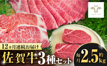 【全12回定期便】佐賀牛 すき焼き用とサーロインステーキとヒレステーキ食べ比べ 計30.6kg / ブランド牛 黒毛和牛 小分け / 佐賀県 / 有限会社佐賀セントラル牧場 [41ASAA280]