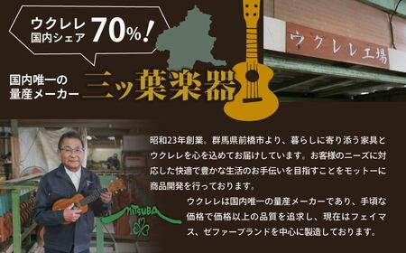 楽器 ウクレレ アルト コンサート ゼファー ウクレレ 楽器
