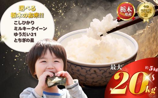 
                  選べる 品種 令和7年産 米 お米 こめ コメ こしひかり コシヒカリ ミルキークイーン ゆうだい21 とちぎの星 5kg 10kg 20kg | 精米 白米 特A 人気 お買い得 ミルキークイン 送料無料 限定 訳あり 備蓄米 栃木県共通返礼品 2025年産 栃木県産 栃木県 下野市
                
