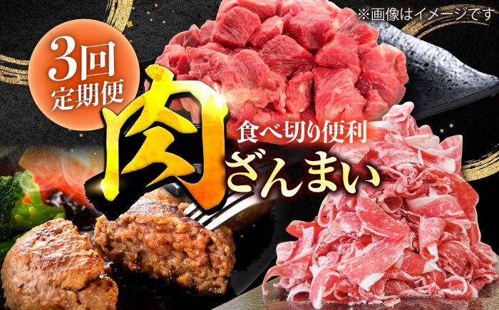 
【3回定期便】肉ざんまい定期便 一人暮らし 少量 /黒毛和牛 牛肉 バラエティー 定期　【川崎畜産】牛 ハンバーグ 切り落し[IAX047]
