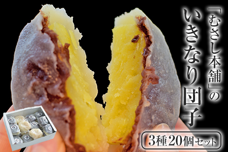 むさし本舗の いきなり団子 20個入り(黒粒7個、黒こし7個、白あん6個) お菓子 スイーツ デザート 和菓子 おもてなし 贈答 ギフト  《60日以内に出荷予定(土日祝除く)》