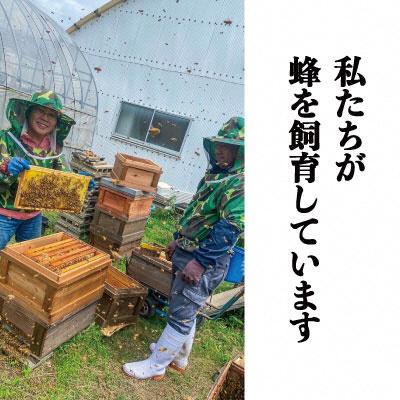 ふるさと納税 瀬戸内市 瀬戸内市産 レンゲ 非加熱 はちみつ 1本 500g 石黒農園[No.5735-1645] |  | 03