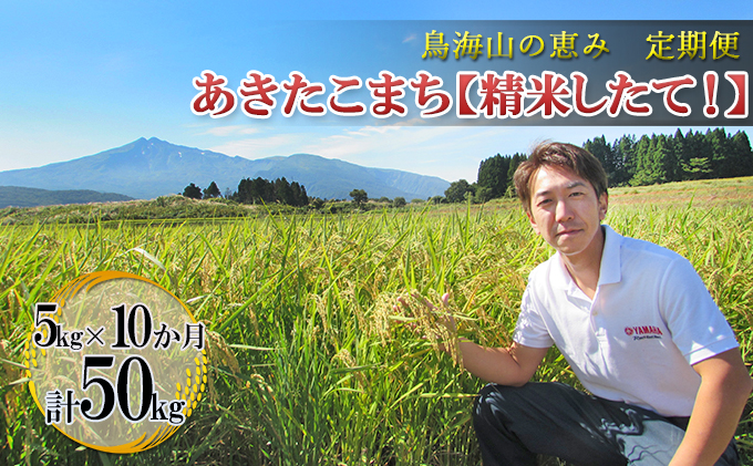 新米 米 お米 【定期便】5kg×10ヶ月 鳥海山の恵み 農家直送！ あきたこまち［精米 したて！］ 10カ月 10回 サブスク 