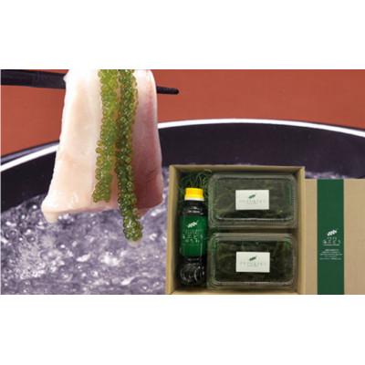 ふるさと納税 糸満市 海ぶどうしゃぶしゃぶ　食べきりセット