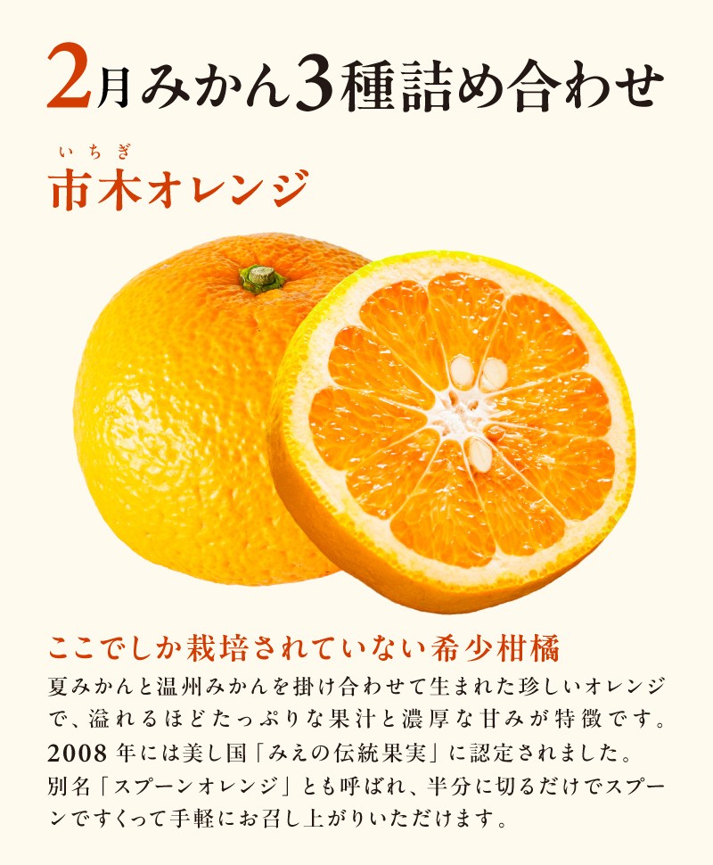 【2027年発送 先行予約品】