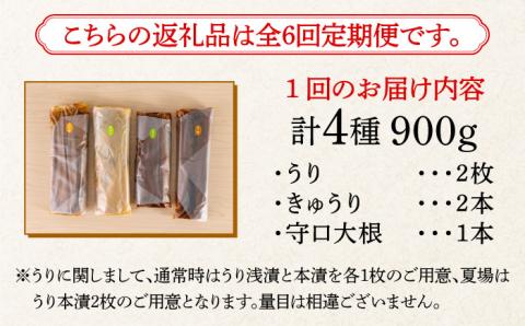 【全6回定期便】【明治神宮ご奉献品】奈良漬 「琥珀漬」900g ご家庭用 詰め合わせ 《築上町》【有限会社奈良漬さろん安部】奈良漬 奈良漬け [ABAE026]
