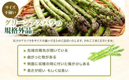 【先行予約】訳ありグリーンアスパラサイズ不揃い1.5kg（500g×3袋)_04841