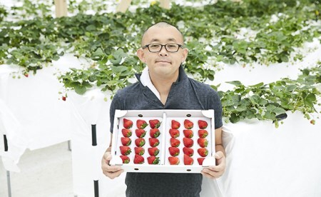 （先行予約）四季成りいちご詰め合わせ400g【6-12月】
